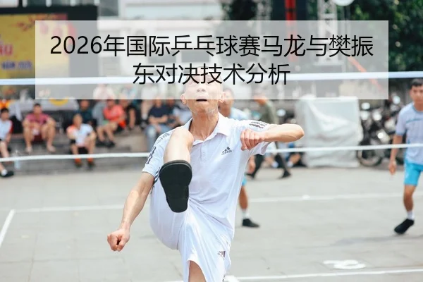 2026年国际乒乓球赛马龙与樊振东对决技术分析