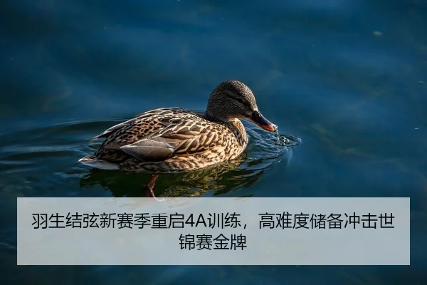 羽生结弦新赛季重启4A训练，高难度储备冲击世锦赛金牌
