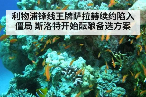 利物浦锋线王牌萨拉赫续约陷入僵局 斯洛特开始酝酿备选方案
